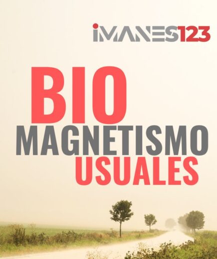 Usual Biomagnetismo